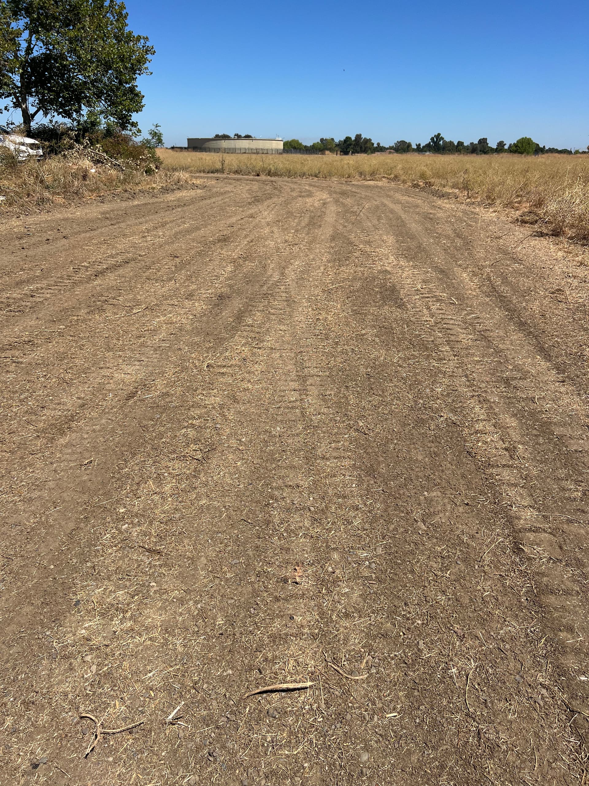 Gallery photos for Defensible Space Land Clearing at a Hospital Property: Image #1