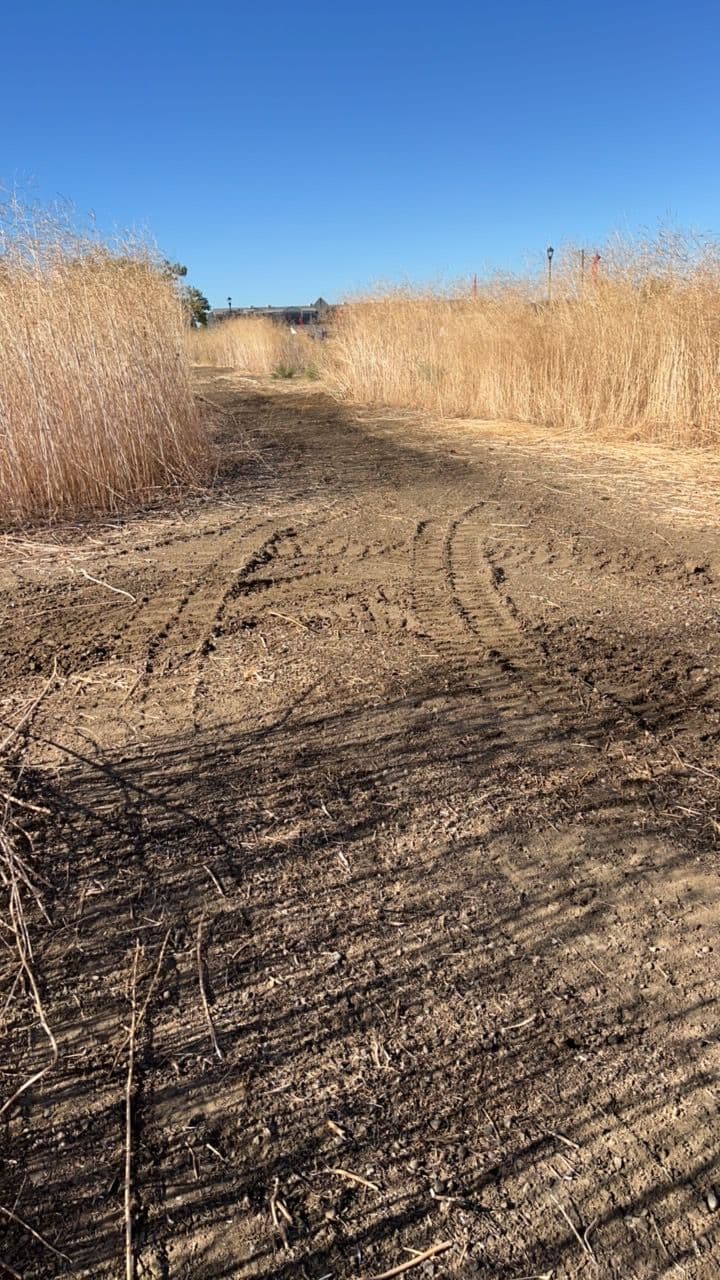 Gallery photos for Defensible Space Land Clearing at a Hospital Property: Image #3
