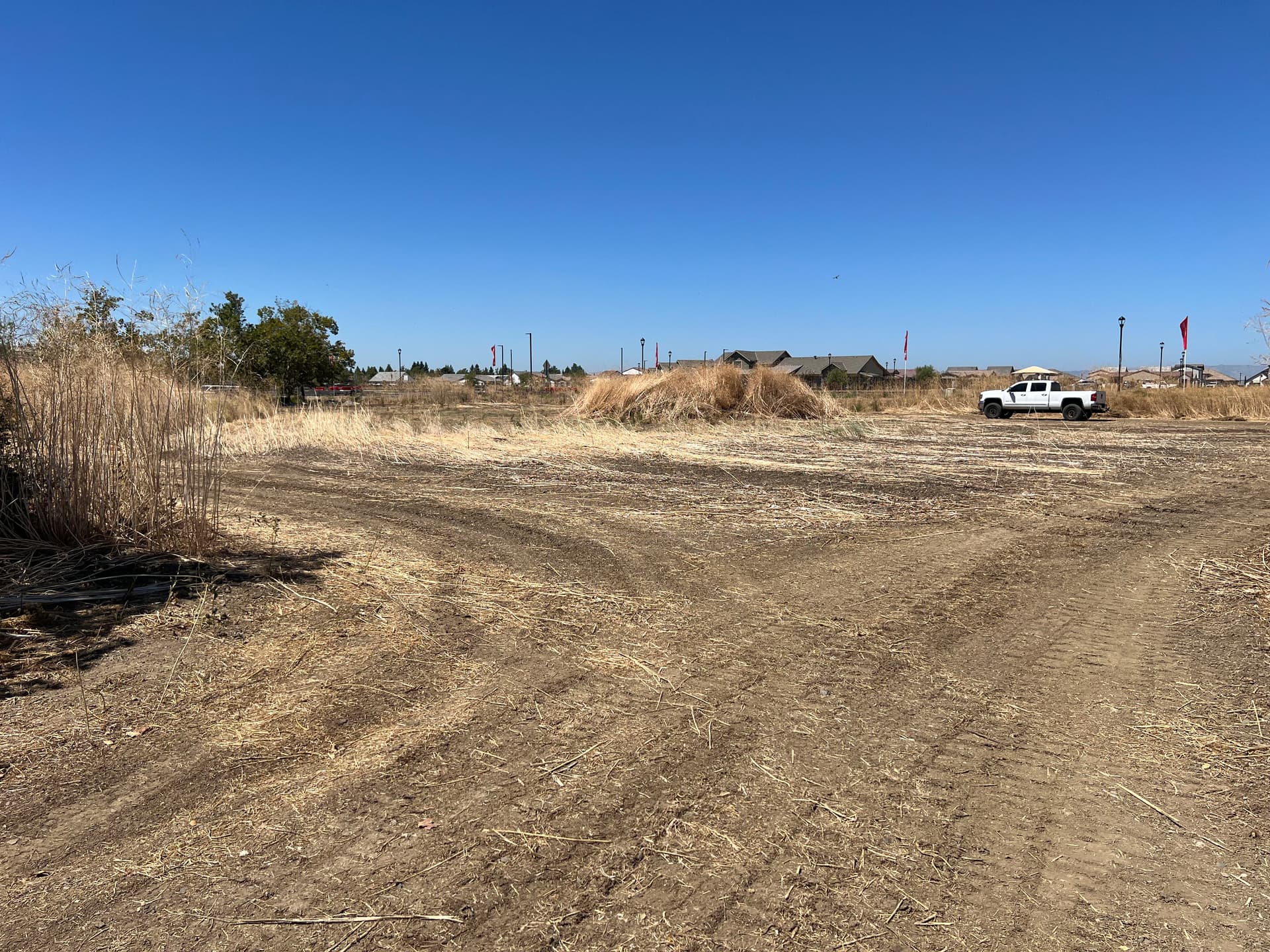 Gallery photos for Defensible Space Land Clearing at a Hospital Property: Image #2