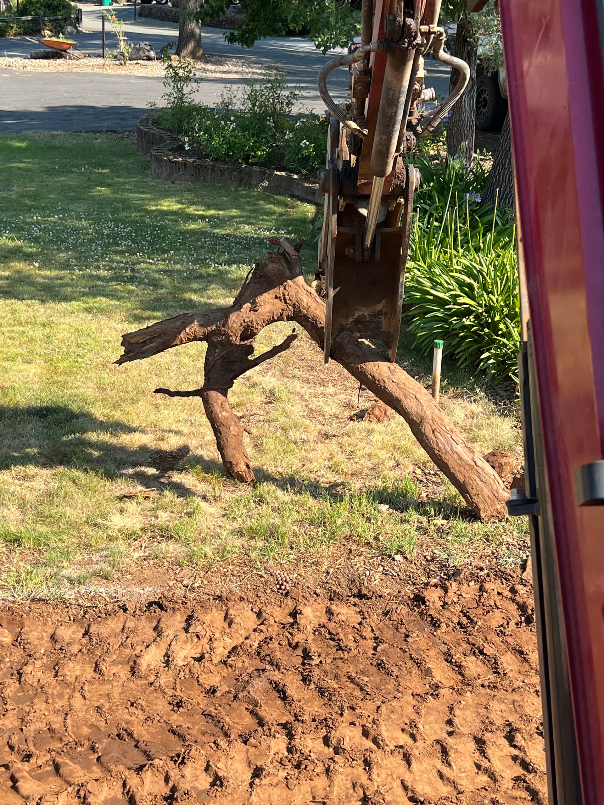 Gallery photos for Tree Root Removal and Site Prep for Tight RV Access: Image #2